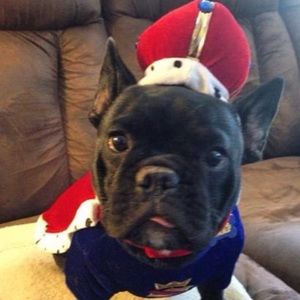 Meet your Posher, Christy